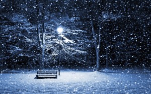 snow park bench